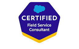 Salesforce Certified Field Service Consultant